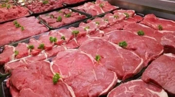 أسعار اللحوم.. تحديث الخميس 11 ديسمبر 2025 يكشف التفاصيل الجديدة في الأسواق